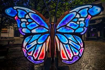 LP 2024 Blackpool Wings